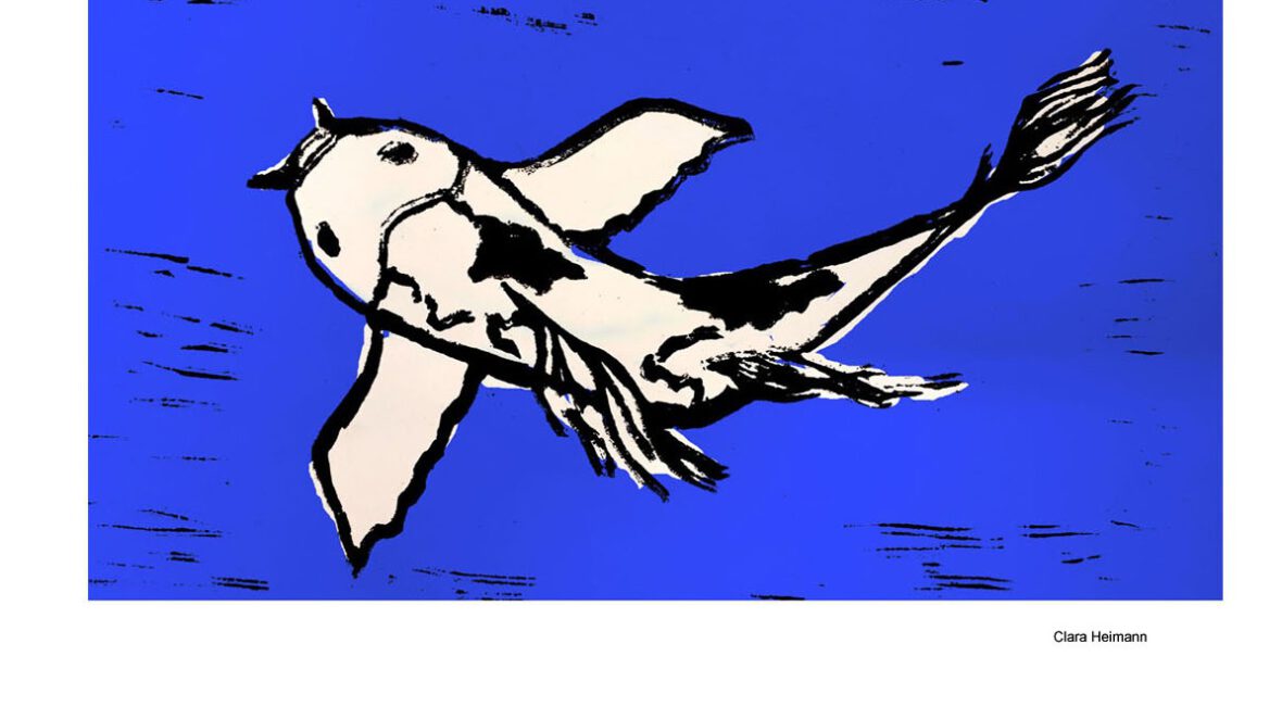 koi